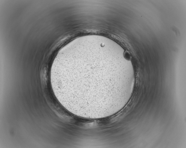 X0000111870116200908131620