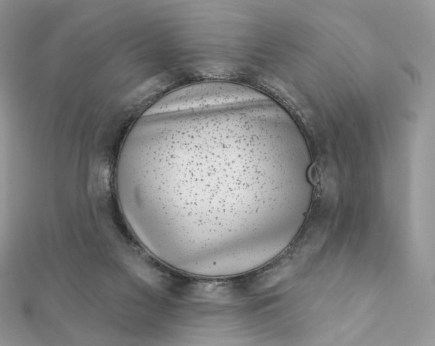 X0000111870117200908131620