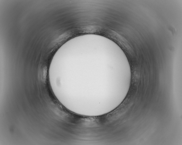 X0000111870118200908131620