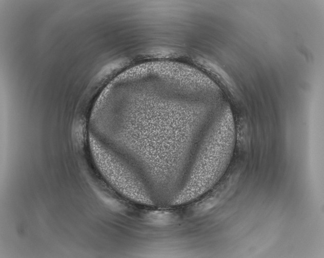 X0000111870119200908131620