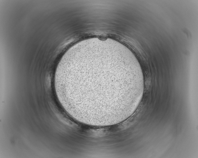 X0000111870120200908131620