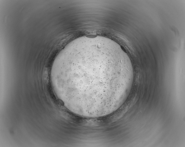 X0000111870121200908131620