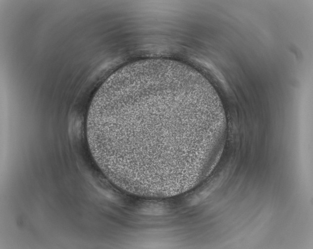 X0000111870123200908131620