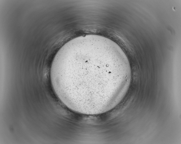 X0000111870125200908131620