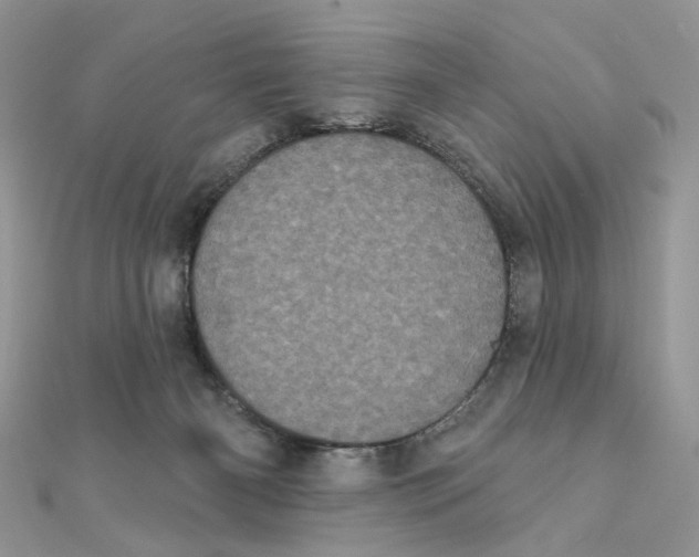 X0000111870126200908131620