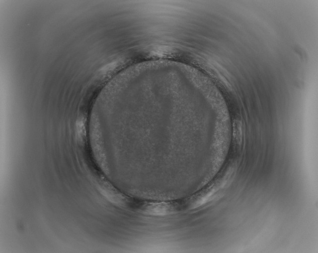 X0000111870127200908131620