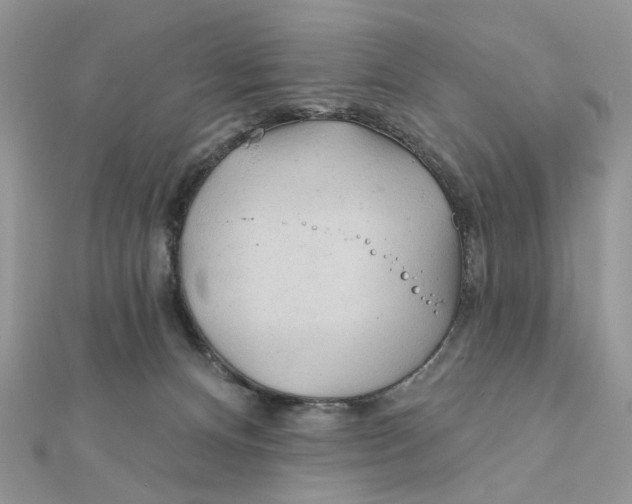 X0000111870128200908131620