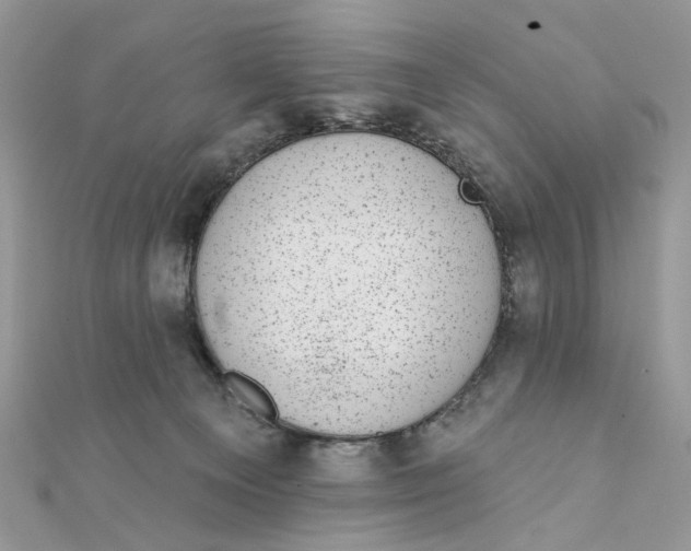 X0000111870129200908131620