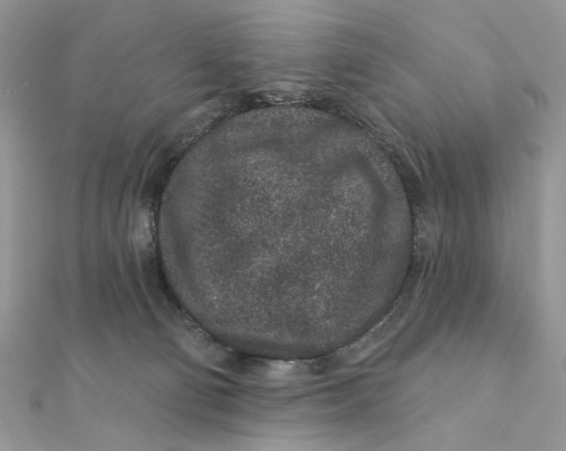 X0000111870130200908131620