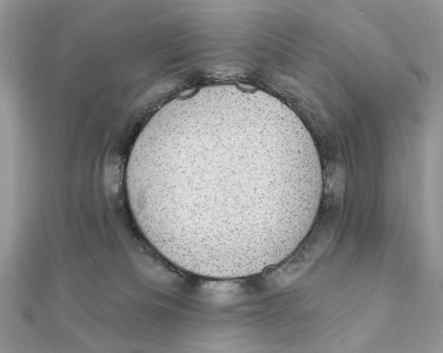 X0000111870133200908131620