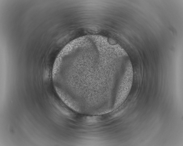 X0000111870134200908131620