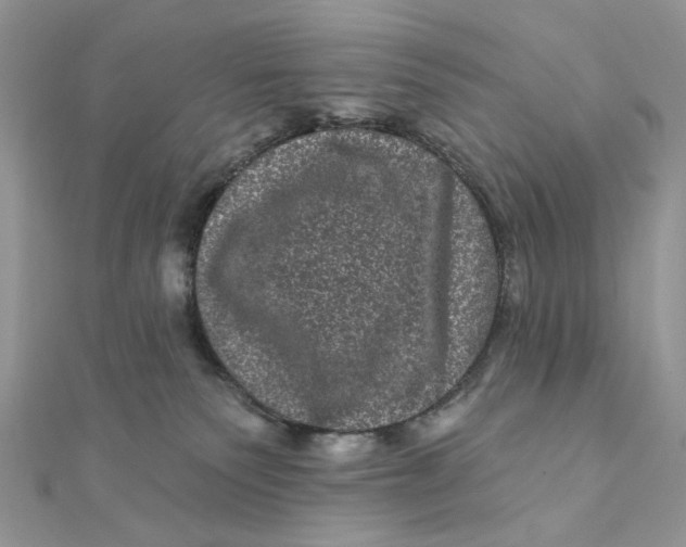 X0000111870135200908131620