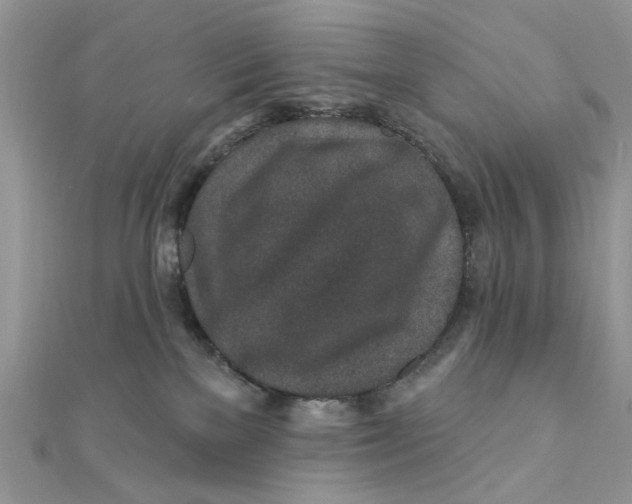 X0000111870137200908131620