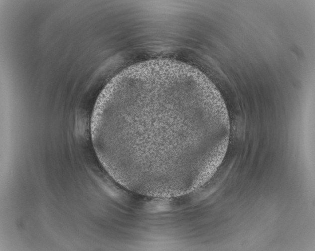 X0000111870138200908131620