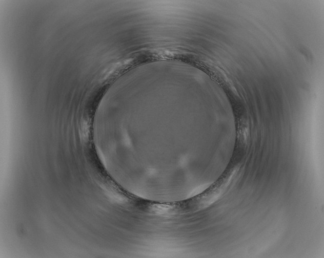 X0000111870139200908131620