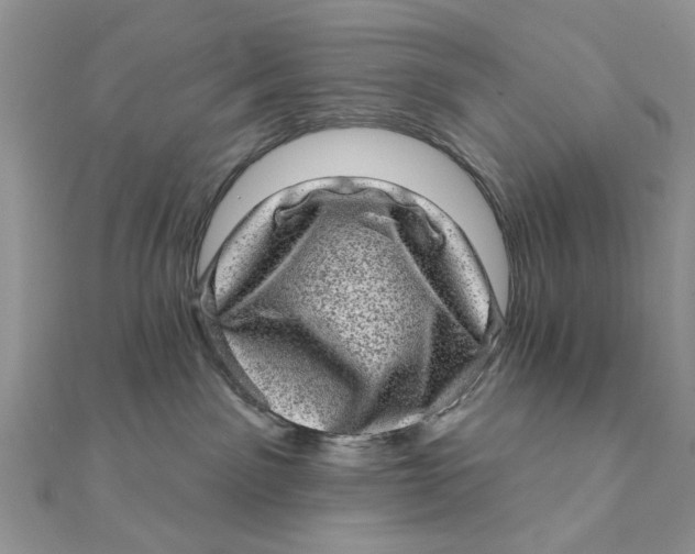 X0000111870141200908131620