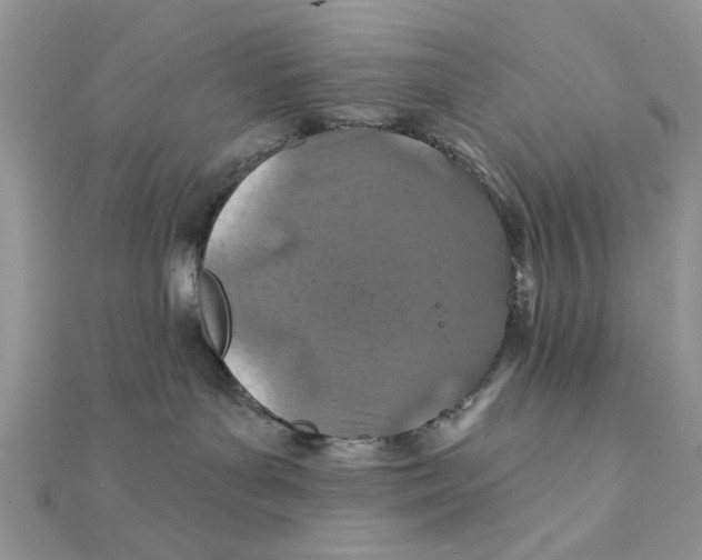 X0000111870143200908131620