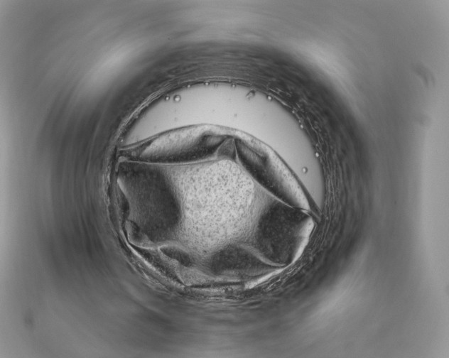 X0000111870146200908131619