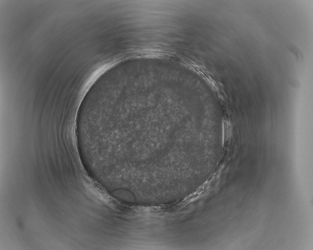 X0000111870147200908131619