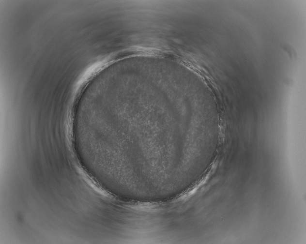 X0000111870149200908131619