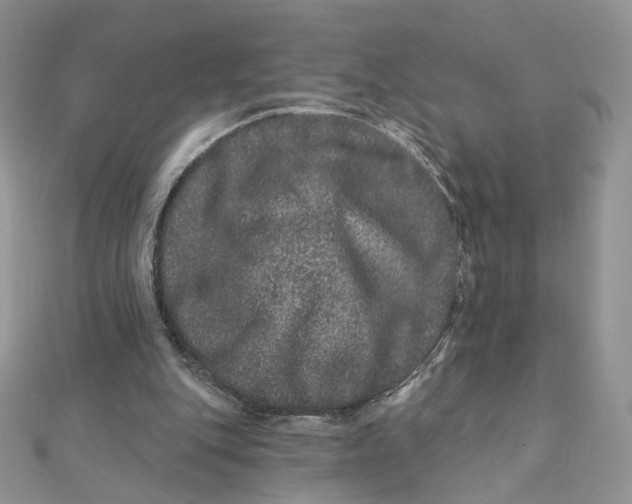 X0000111870151200908131619