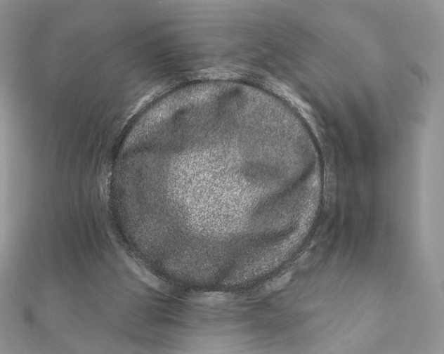 X0000111870153200908131619