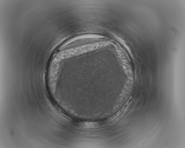 X0000111870154200908131619