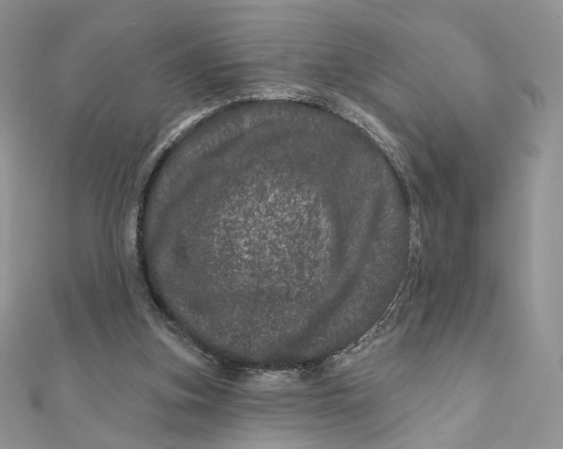 X0000111870155200908131619