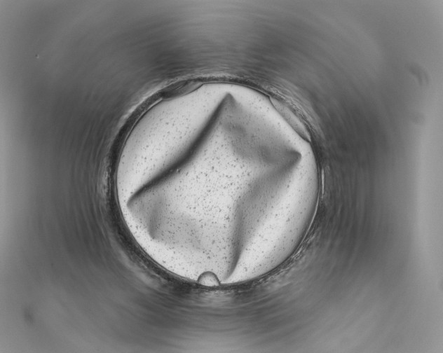 X0000111870156200908131619