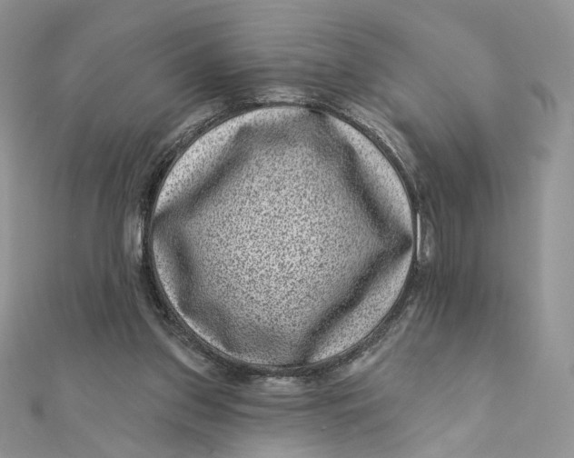 X0000111870157200908131619