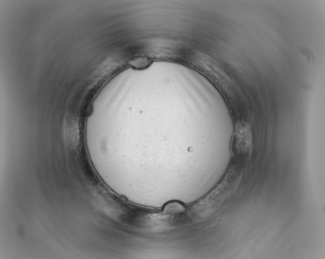 X0000111870158200908131619