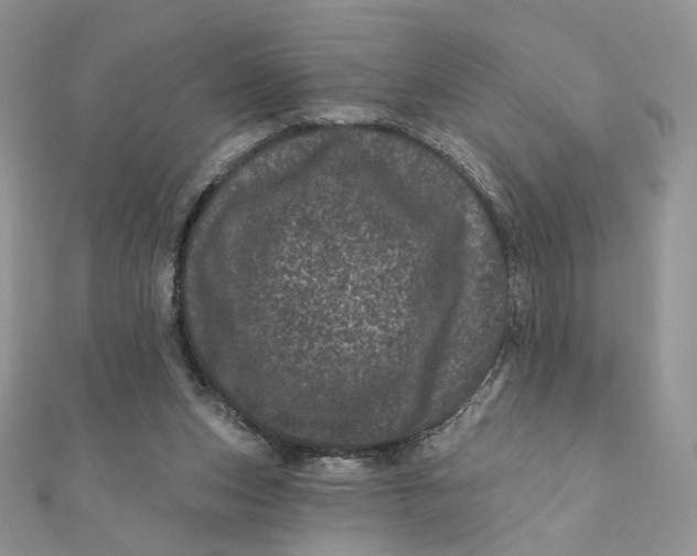 X0000111870159200908131619