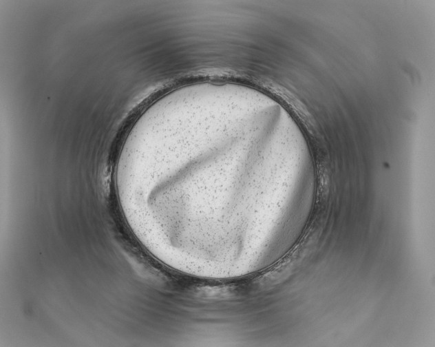 X0000111870160200908131619