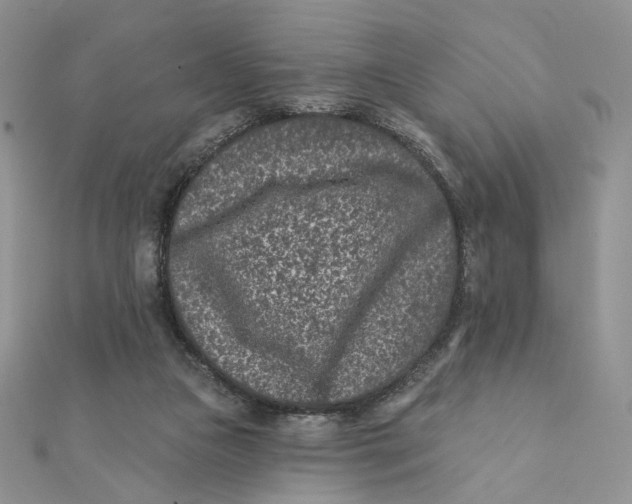 X0000111870161200908131619