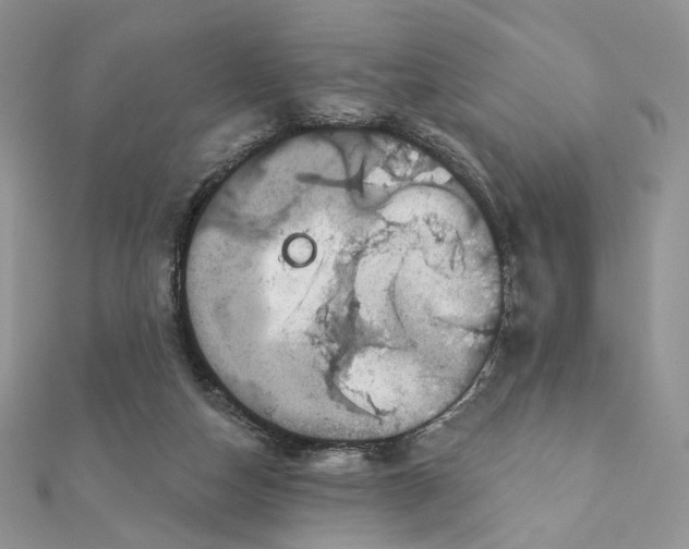 X0000111870162200908131619