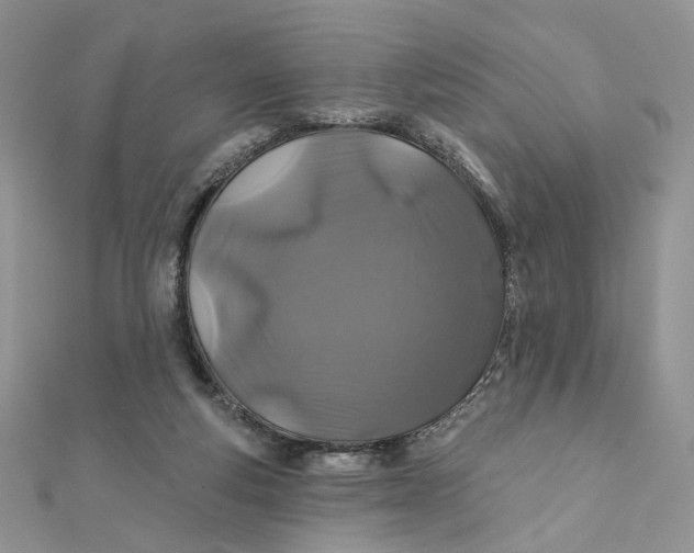 X0000111870163200908131619