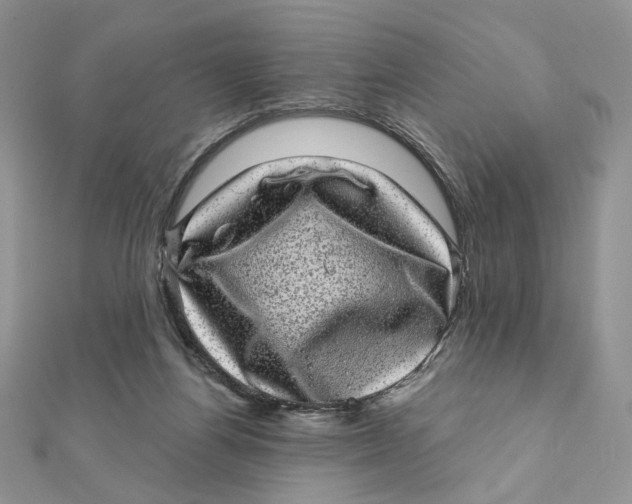 X0000111870164200908131619