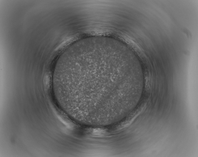 X0000111870165200908131619