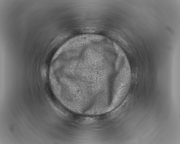 X0000111870166200908131619