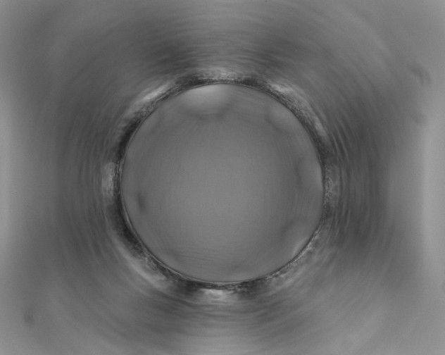 X0000111870167200908131619