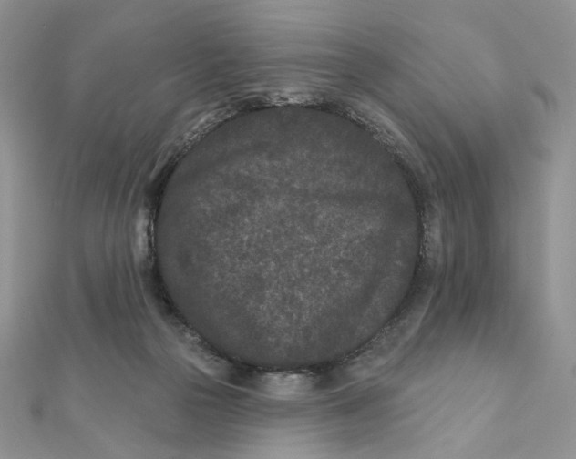 X0000111870169200908131619