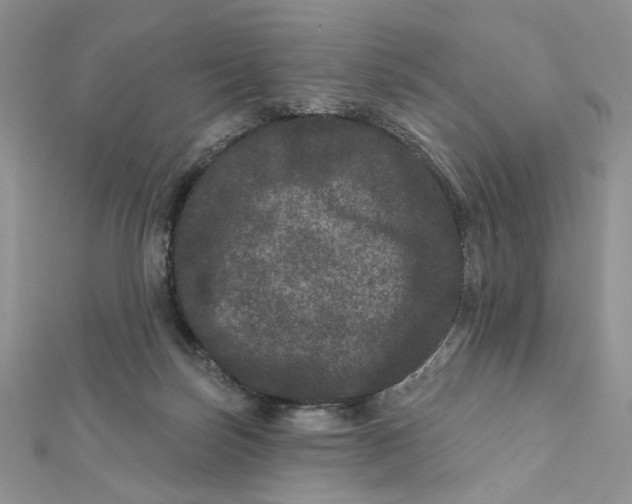 X0000111870171200908131619