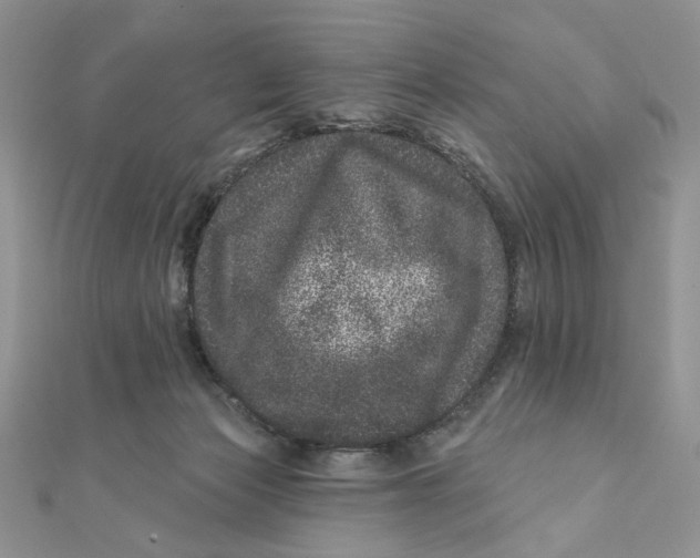 X0000111870173200908131620