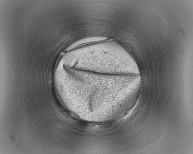 X0000111870174200908131620