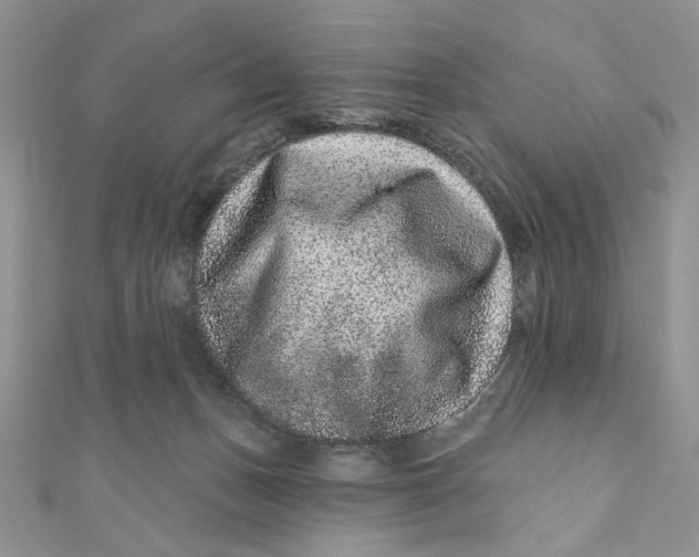 X0000111870175200908131620