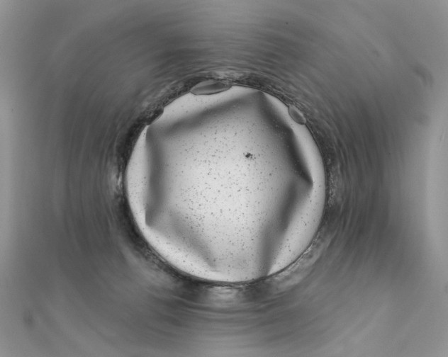 X0000111870176200908131620