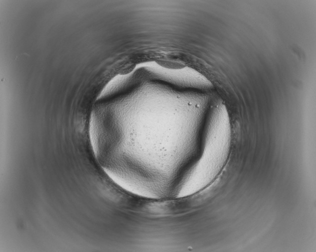 X0000111870178200908131620