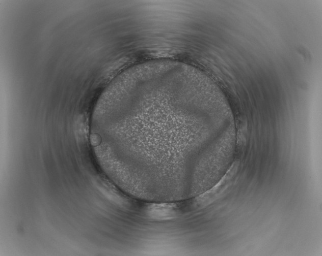 X0000111870179200908131620