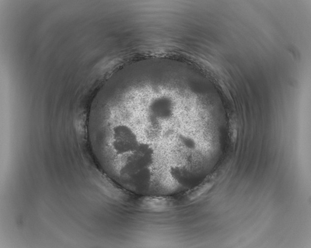 X0000111870181200908131620