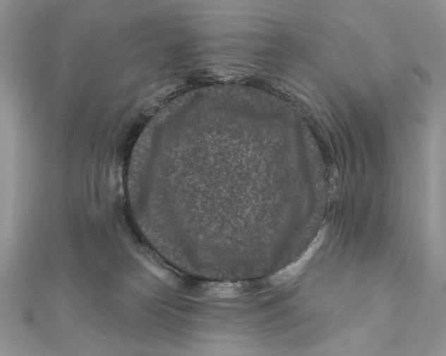 X0000111870182200908131620